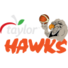 泰莱之鹰logo